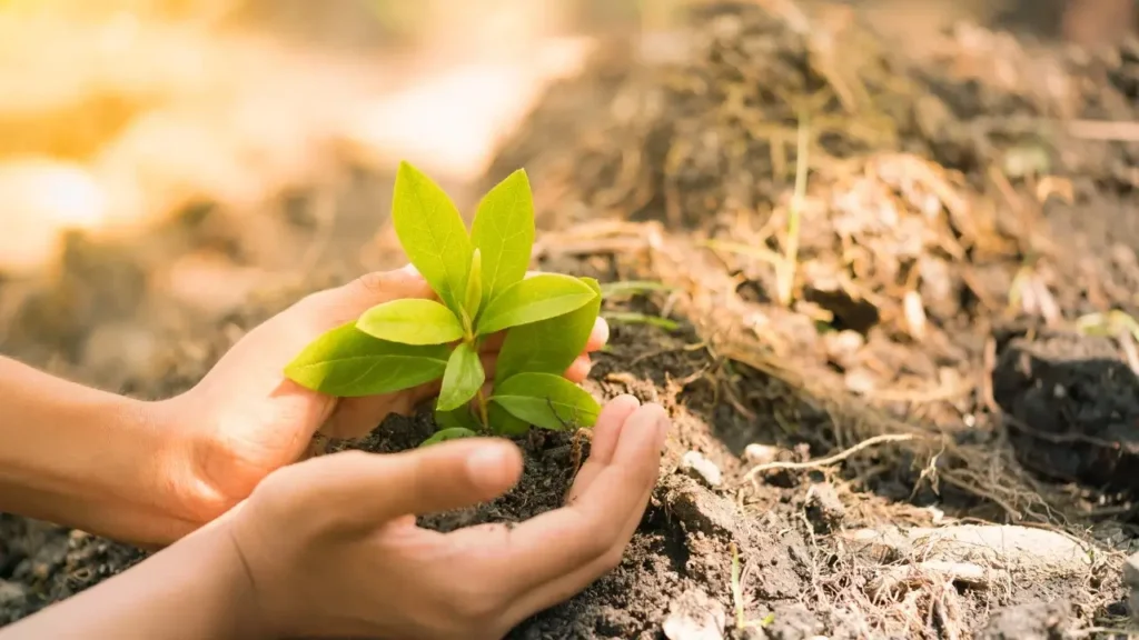 educacion ambiental jovenes